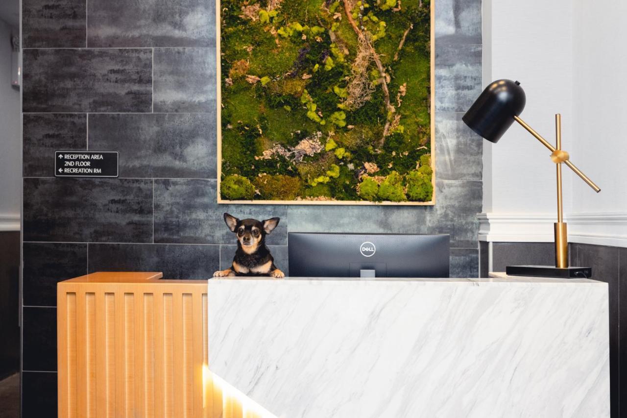 The Modernist Hotel New York Esterno foto